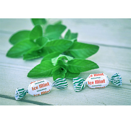 Menta Ice Mint